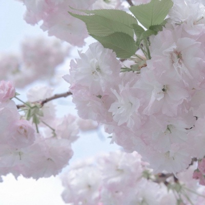 Furry插画构图解析兽圈社群